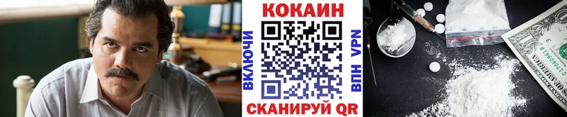 Cocaine FishScale сколько стоит Тулун